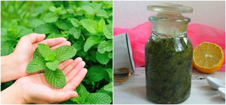 м'ятний цукор на зиму