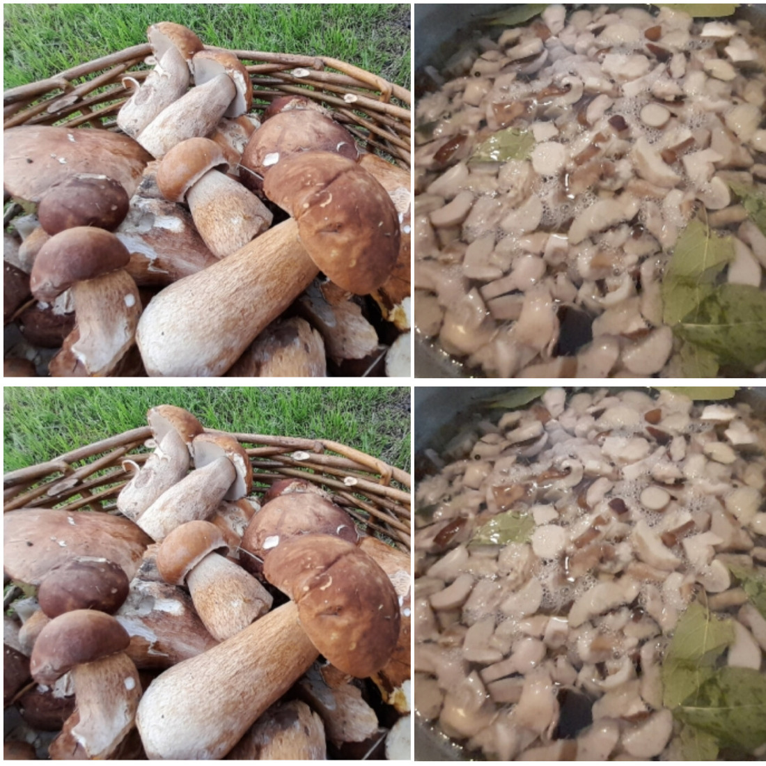 Консервовані білі гриби на зиму, готую щороку так і не хочу міняти рецепт, заготовлюю по 10 банок